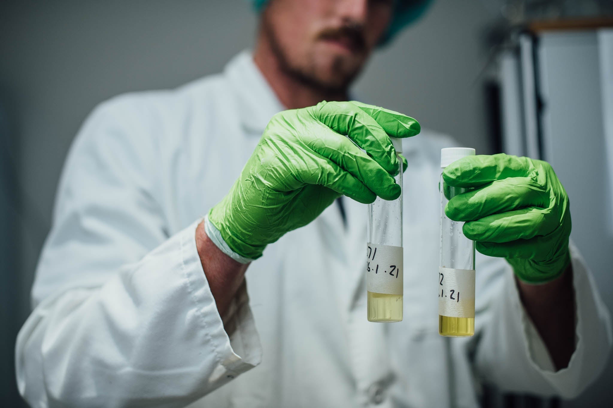 Kavalactone Extracts vs Traditional Kava: What You Need to Know