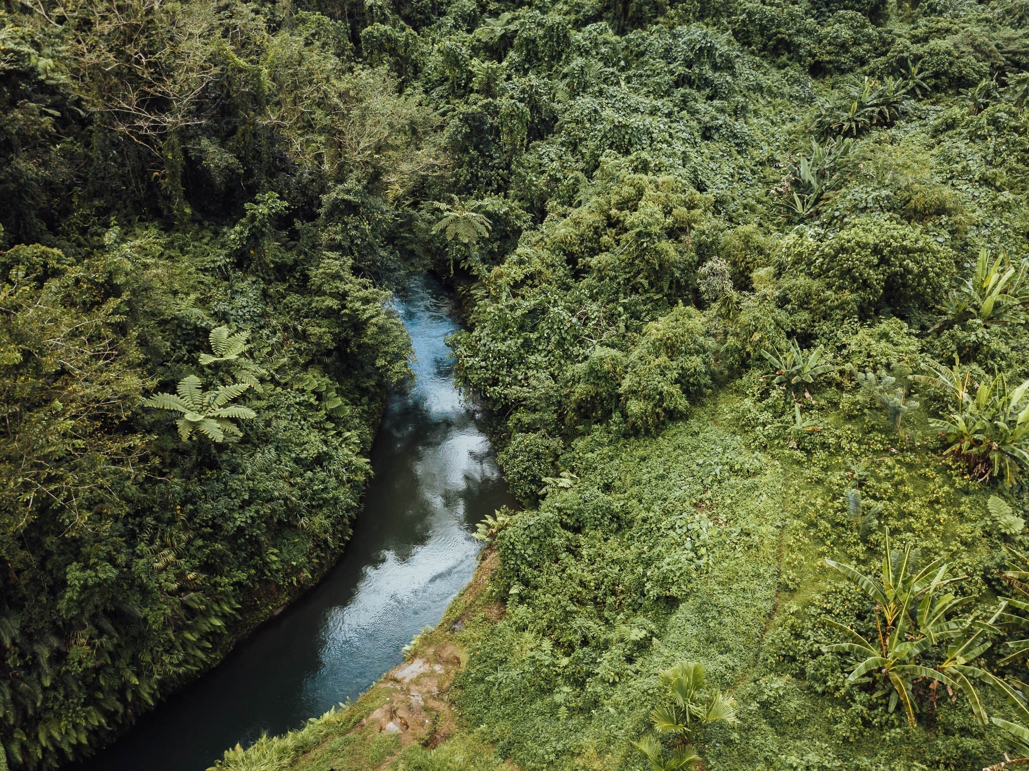 Meet the Island: Espiritu Santo, the Home of (Most of) Our Kava